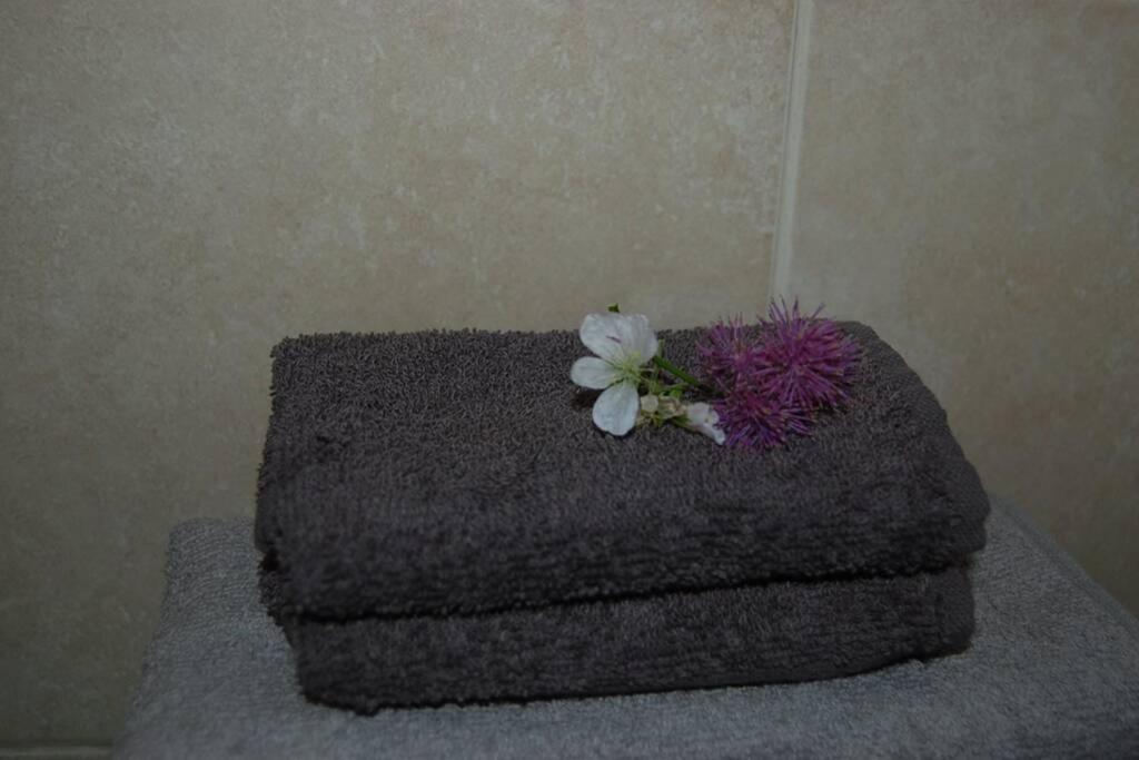 Creag Mhor Self Catering Holiday Apartment Aberfoyle  Exterior photo